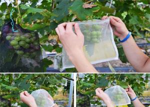 China Agriculture Mesh Bag Garden Insect Mesh Netting Farming Vegetables Fruit Cover Insect Pest Fly Barrier Mesh Net Bag factory