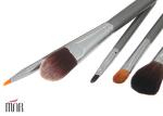 Eco-friendly Wood Handle Beauty Professional Cosmetic Brush Set With Leather