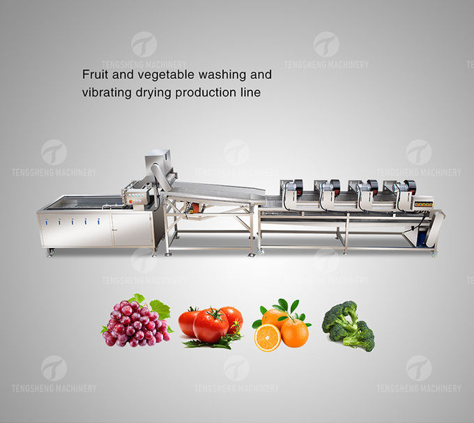 1000KG/H Fruit And Vegetable Processing Line Bubble Washing And Vibrating Drying