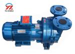 220v Single Phrase Gear Oil Transfer Pump , Electric Motor Water Ring Vaccum
