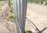 Professional Vineyard Trellis Stakes , Plant Support Pole Corrosion Resistance