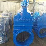 OS&Y Ductile Iron Carbon Stainless Steel DIN F4 Resilient non-rising Stem Sluice