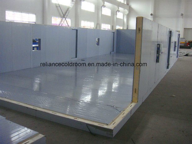 Reliance Walk in Freezer Room