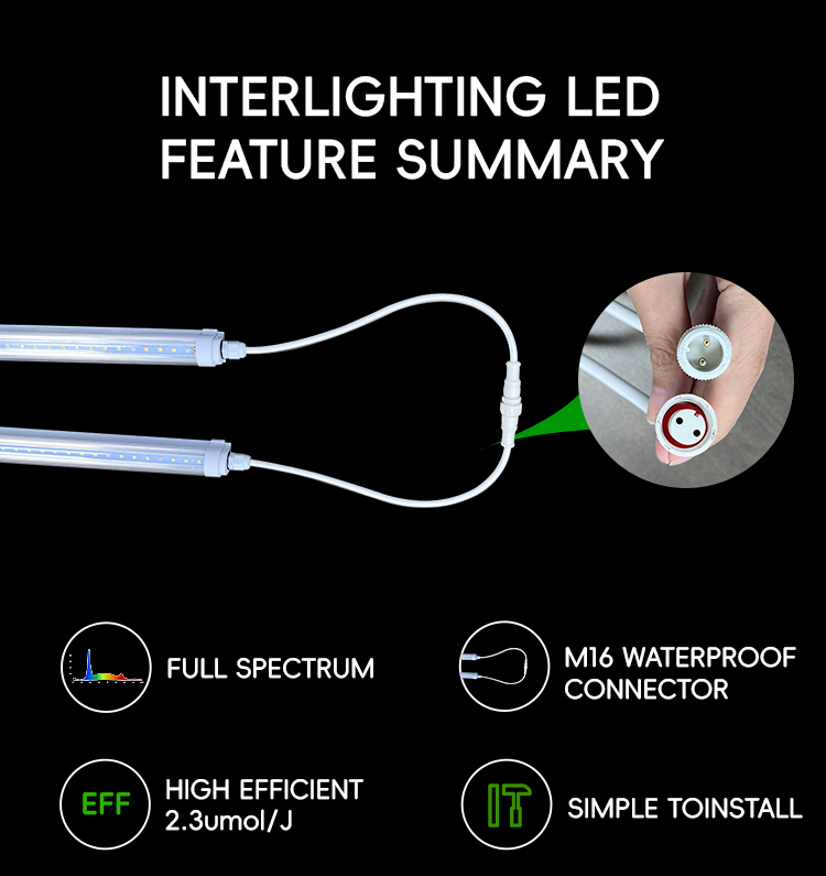 18W 20W 25W 28W 36W LED Grow Light Tubes Waterproof 3ft 4ft T5 T8 Lighting Fixture PVC Body