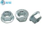 Metric Hex Flange Nuts DIN6932 8.8 9.9 12.9 Grade Alloy Steel Materials Nickel /