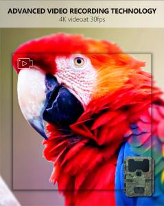 China KW866 WIFI Hunting trail Camera waterproof IP67 OEM/ODM 512GB Storage SD Memory Card 32MP 4K factory
