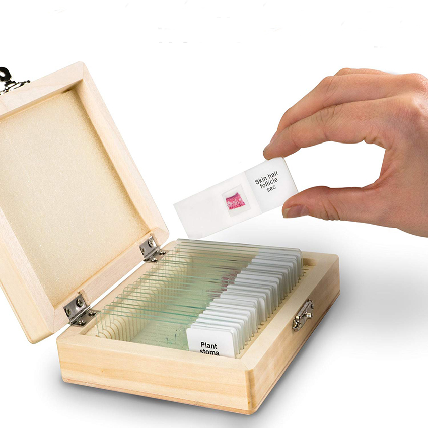 Hot Sale 25pcs Glass Human Prepared Histology Microscope Slides wooden set for Lab Research