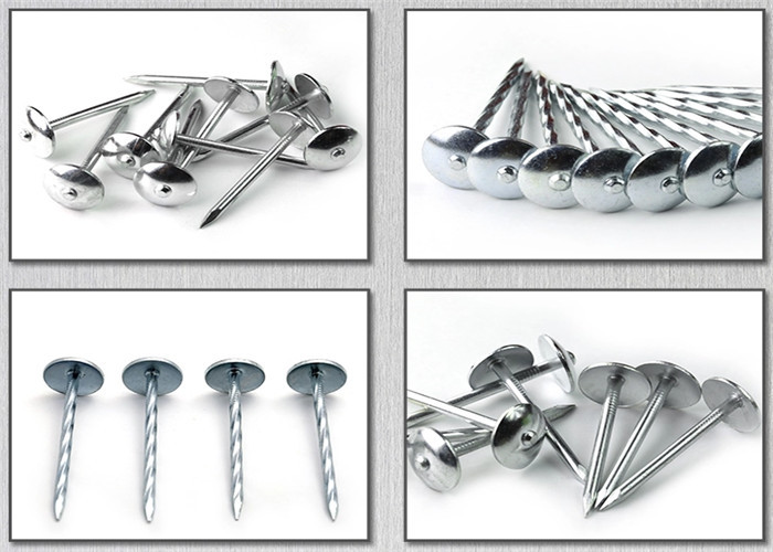BWG8 2-1/2" Galvanised umbrella Roofing Nails
