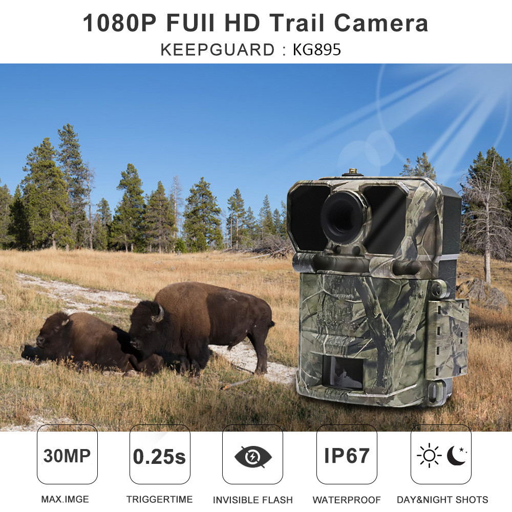High Resolution 4g Wildlife Camera , Night Vision 4g Lte Trail Camera