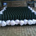 Diamond Wire Netting PVC Chain Link Fence Galvanised For Seaside