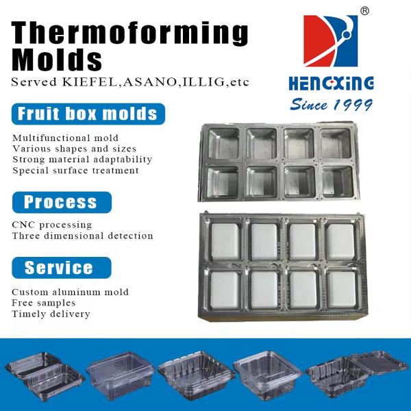 China Fruits Box Molds Thermoforming  Mold  Aluminium Mould Precision Packaging factory