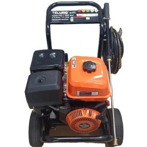 China 4200psi/289bar 4 Stroke Triplex Pump High Pressure Car Cleaner Machine for Gasoline factory