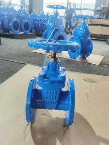 China ductile Iron F4 Gate Valve 65mm Gland Type Customized factory