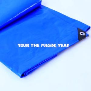 China Outdoor-Tent Strong Waterproof PE Tarpaulin with HDPE Weaving and LDPE Lamination factory