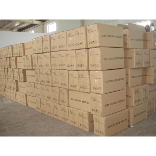 Natural Organic Soil Conditioner Enhances Soil Fertility Improves Crop Yield