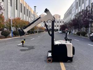 China Motor Customized Electric Counter Balance Forklift Mini Crane Arm Length 2480 mm Lifting Height 3000 mm factory