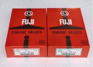 China Hino J08E J05E Valve 13711-1632 13711-1733 Fuji Products Japan FUJI factory