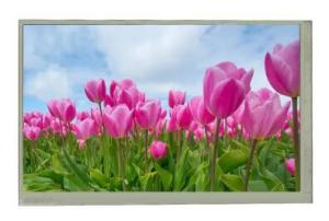 China At070tn83 V.1 800x480 7 Inch Display With Touch Screen Color LCD Panels 300Nits 40Pins factory