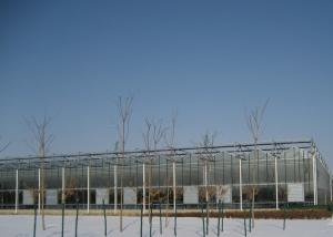 China Automatic PC Sheet Greenhouse , Rigid Plastic Sheets Greenhouse Customized Span factory