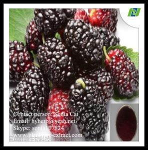 China Mulberry Fruit Extract anthocyanins 20% factory