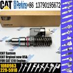 diesel fuel engine injector 10RO963 229-5918 212-3463 212-3464 for CAT c10
