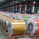 Pre-painted PPGI Galvanized Steel Coil in ASTM/AISI/SGCC/CGCC/TDC51DZM