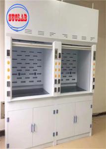 China LED Lighting Chemical Fume Hood Lab Fume Hood With Sink - for B2B Requirements factory