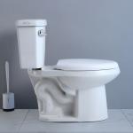 Elongated Compact Ada Toilet 19 Inches Powerful Punch Syphon Standard Height