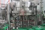 5000BPH Carbonated Drink Filling Machine Backup Pressure Juice Bottling Line