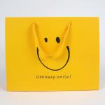 High End Luxury Retail Foldable Colored Cardboard Cute Paper Shopping Bags with