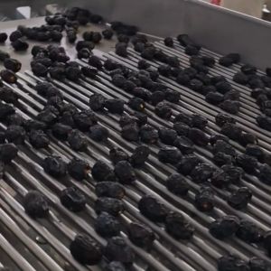 China Smart Dates Sorting Machine, AI Detection, 6 lanes+10 outlets, 1.8 Tons per hour, High Speed Mode factory