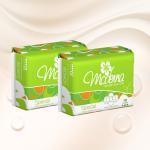 Custom Logo Anion Sanitary Napkin Disposable Winged Shape