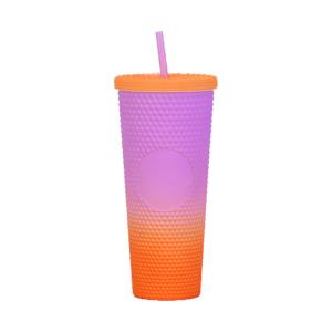 China Collections Tumbler With Lid And Straw Insulated Double-Wall Acrylic Cup factory