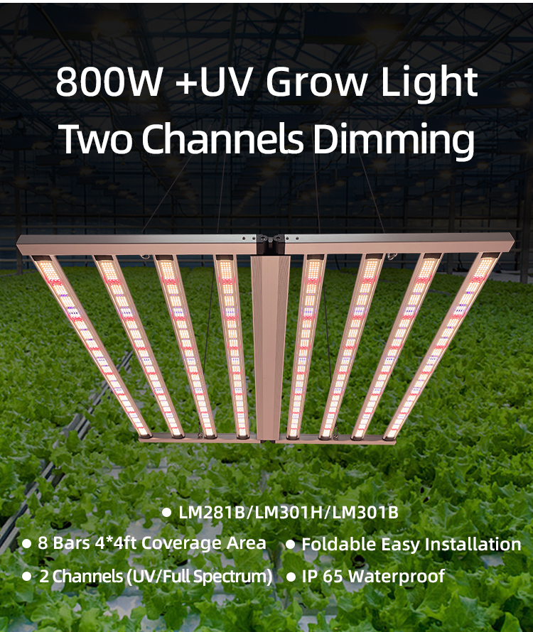 Full Spectrum UV 900W LED Grow Light Commercial Vertical Farming LED Grow Lights