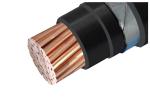 Shenghua Group PVC Insulated 0.6/1kV Steel Armored Cable Multi Cores