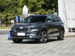 90 Hp Geely Smart Car Five Doors Seats Electric Luxury SUV Automatic