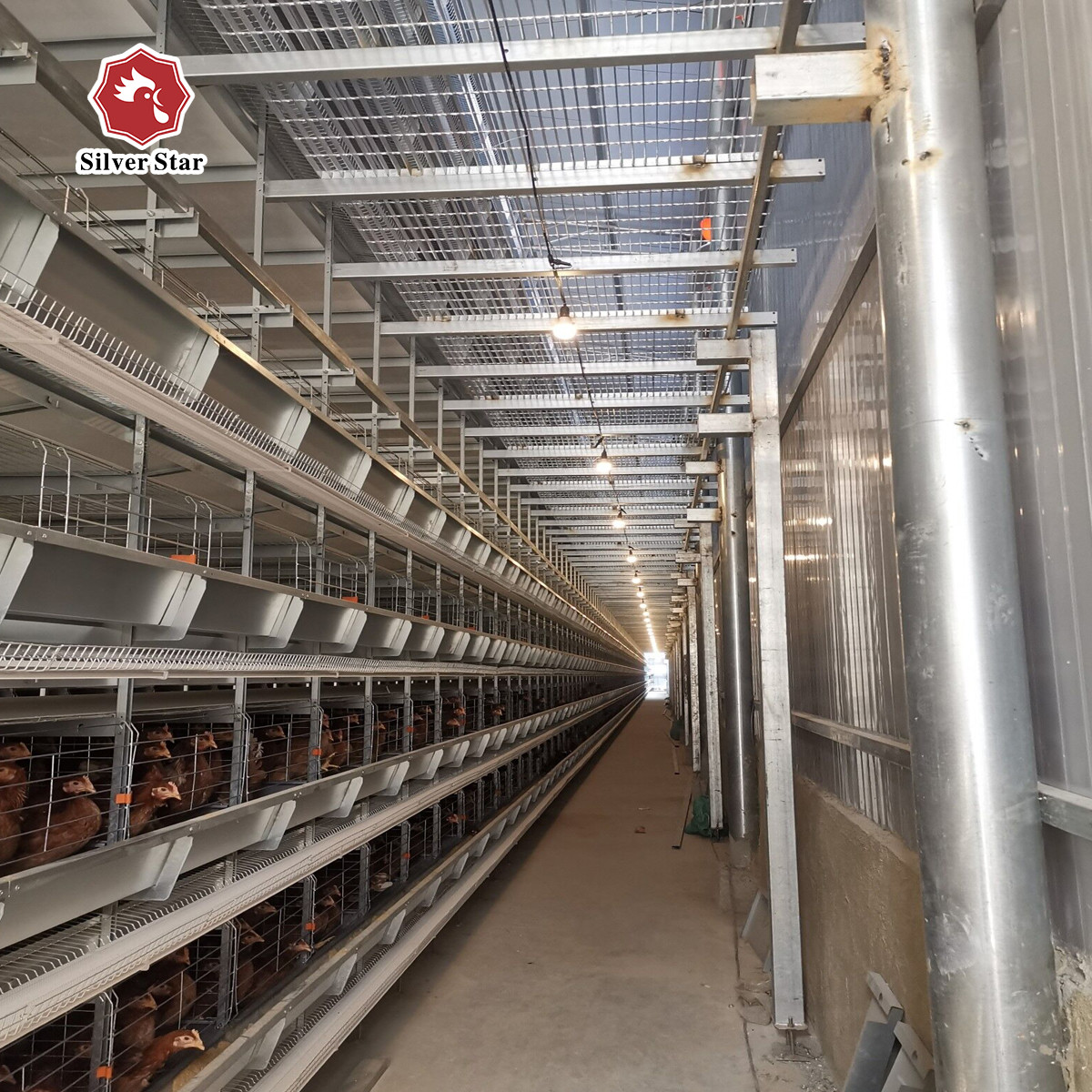 Long Lifespan cold galvanized Battery Chicken Cage For Chicken Cage