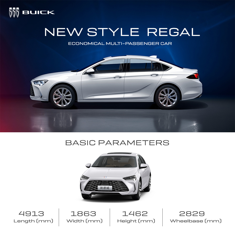 2024 Buick Regal Turbo Luxury Gas Automobile with High Level Appearance and Turbo Engine Type from 's Energy Vehicle