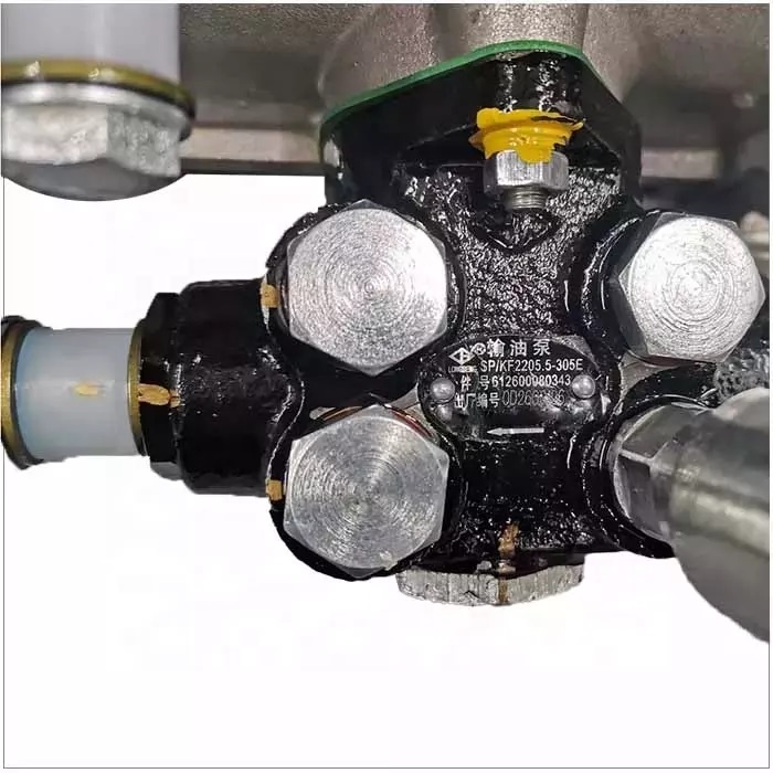SINOTRUK CNHTC BH6P120 Heavy Truck Parts ZZ5437 Engine Fuel Injection Pump within WEICHAI WD615 WD10 Construction Machinery
