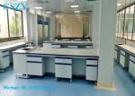 High Quality Laboratory Furniture Center Lab Bench for Physics Science Biology