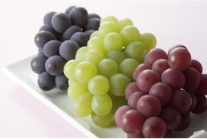 China Grape Seed Extract 95% Proanthocyanidins OPC (Vitis vinifera L) factory