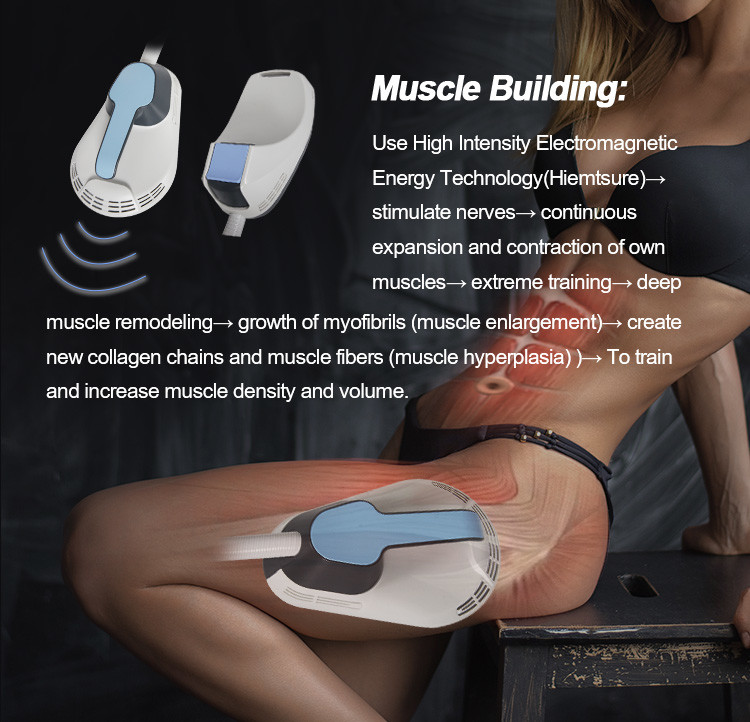 110V 220V Fat Cavitation Machine , Fat & Cellulite Removal Machine With Vibration Therapy Belt