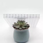 Transparent Eco Friendly Clear Polycarbonate Plastic Roof Panels 16mm 18mm 25mm