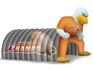 China Inflatable Amusement Park With Eagle Tunnel For Business factory