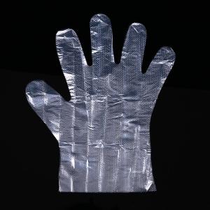 China Plastic Disposable PE Gloves Clear Color Plastic Polythene Disposable Glove factory
