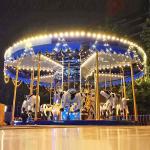 Fairground Carousel Horses Bull Cow Shape Indoor Outdoor Design