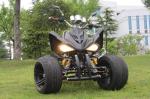 Spy Style Utility Vehicles ATV 250cc With Manual Water - Cooled 2 Seater Quad