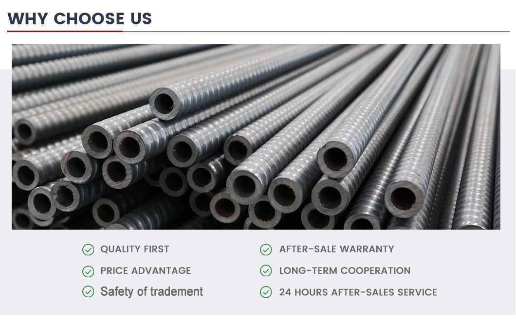 Standard/Customized Steel Formwork Construction Fasteners Anchor Rod