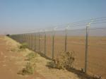 china Chain Link Wire Mesh Fencing , PVC Coated Chain Link fences ,Plastic Chain
