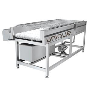 China Fruit and Vegetable Cucumber Pineapple Cherry Tomato Brush Washing Machine Brush Washer factory